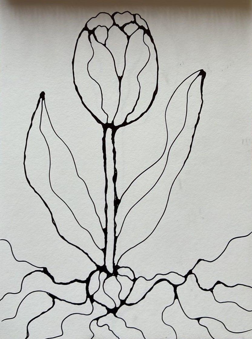 Description of image